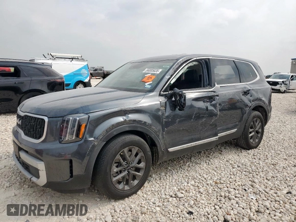 2024 Kia Telluride LX with VIN 5XYP24GC2RG422360, listed as a Copart auction lot 56885035 with Not provided miles and Salvage title. Bid and sale history available at DreamBid. Image 1.