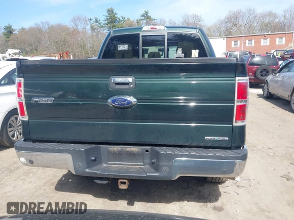 2013 Ford F-150 XL with VIN 1FTFW1EF1DKG37128, listed as a IAAI auction lot 42094406 with 118,881 mi miles. Bid and sale history available at carsss.com. Image 16.