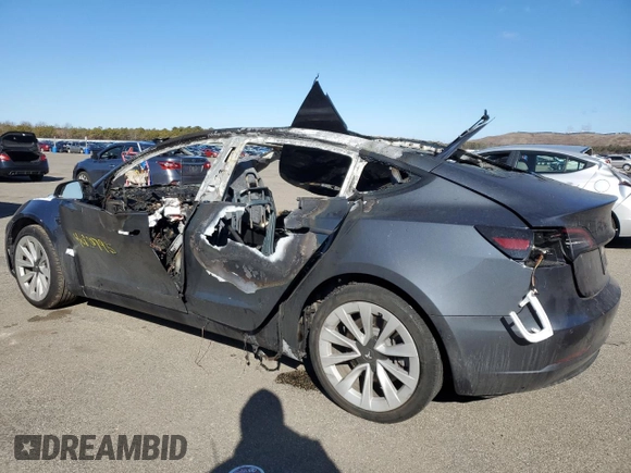 2022 Tesla Model 3 with VIN 5YJ3E1EA7NF335948, listed as a Copart auction lot 46820795 with Not Provided miles and Salvage Title. Bid and sale history available at DreamBid. Image 2.