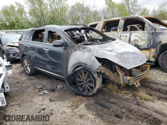 2017 Kia Sorento SX with VIN 5XYPKDA5XHG306042, listed as a Copart auction lot 53890765 with Not provided miles and Non repairable. Bid and sale history available at DreamBid. Image 4.