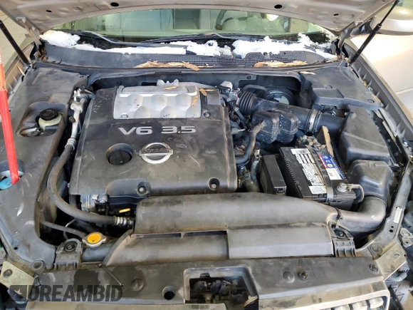 2006 Nissan Maxima 3.5 SE with VIN 1N4BA41E56C828288, listed as a Copart auction lot 88204605 with 129,341 mi miles and Salvage Title. Bid and sale history available at carsss.com. Image 12.
