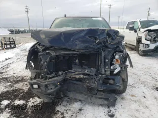 2019 Ford F-150 XL with VIN 1FTEW1EP9KKD61251, listed as a Copart auction lot 81344233 with 141,639 mi miles and Salvage title. Bid and sale history available at DreamBid. Image 5.