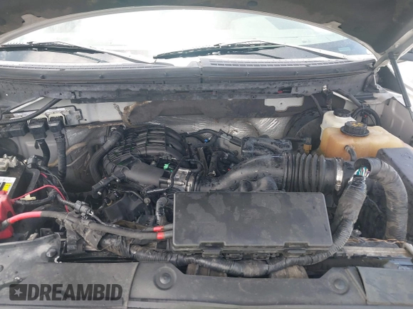 2011 Ford F-150 XL with VIN 1FTEX1CM5BKE08099, listed as a IAAI auction lot 42502519 with 209,489 mi miles and . Bid and sale history available at DreamBid. Image 10.