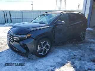 2024 Hyundai Tucson Limited with VIN 5NMJECDE1RH365037, listed as a Copart auction lot 45140755 with 14,393 mi miles and Salvage Title. Bid and sale history available at carsss.com. Image 1.