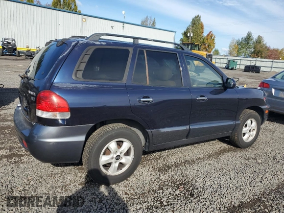 2005 Hyundai Santa Fe GLS with VIN KM8SC73E95U936274, listed as a Copart auction lot 76955984 with 166,437 mi miles and Salvage Title. Bid and sale history available at carsss.com. Image 3.