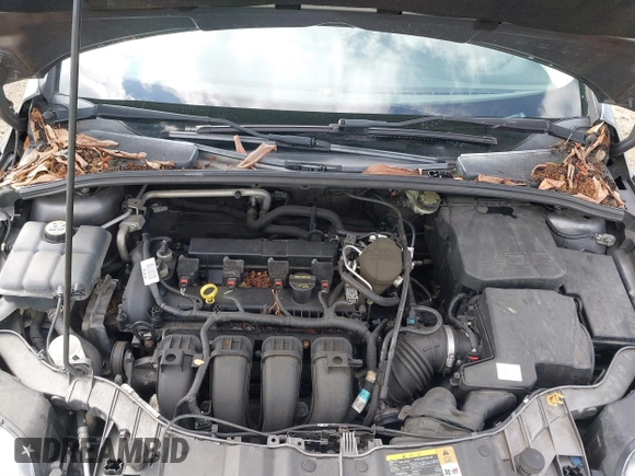 2013 Ford Focus SE with VIN 1FADP3F28DL343477, listed as a IAAI auction lot 41905740 with 168,490 mi miles. Bid and sale history available at carsss.com. Image 10.