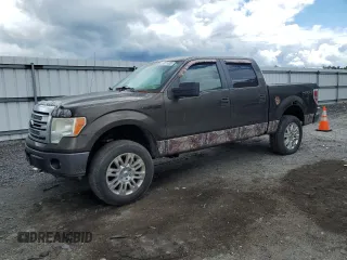 2009 Ford F-150 XL with VIN 1FTRW14849FA55430, listed as a Copart auction lot 58311435 with 245,154 mi miles and Clean title. Bid and sale history available at DreamBid. Image 1.