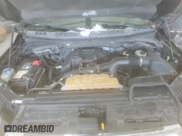 2015 Ford F-150 XLT with VIN 1FTEW1EPXFKD35666, listed as a Copart auction lot 41676415 with 182,665 mi miles and Salvage Title. Bid and sale history available at DreamBid. Image 11.