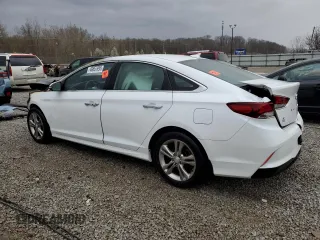2019 Hyundai Sonata SEL with VIN 5NPE34AF1KH762699, listed as a Copart auction lot 49857895 with Not Provided miles and Non Repairable. Bid and sale history available at DreamBid. Image 2.
