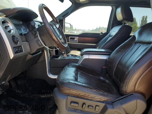 2009 Ford F-150 XL with VIN 1FTPW14V59FA44112, listed as a Copart auction lot 63436815 with 255,464 mi miles and Salvage title. Bid and sale history available at DreamBid. Image 7.