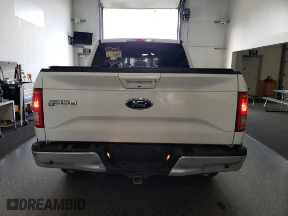 2017 Ford F-150 XL with VIN 1FTEW1EF5HFB70838, listed as a Copart auction lot 62206435 with 79,742 mi miles and Clean title. Bid and sale history available at DreamBid. Image 6.