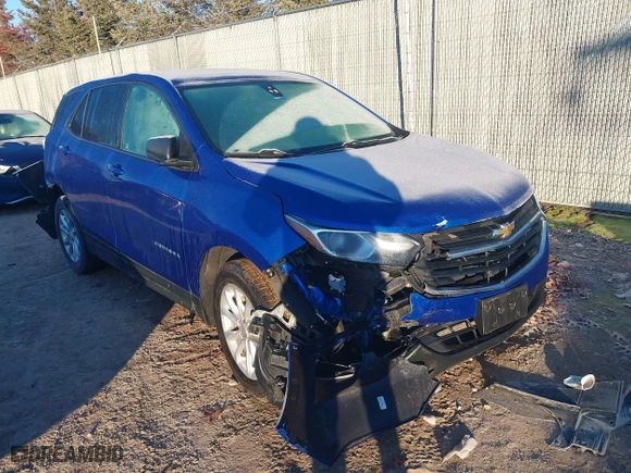 2019 Chevrolet Equinox LS with VIN 3GNAXHEV2KS574606, listed as a IAAI auction lot 41208945 with 79,325 mi miles. Bid and sale history available at carsss.com. Image 1.