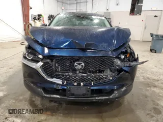 2020 Mazda CX-30 with VIN 3MVDMBBL0LM114783, listed as a Copart auction lot 50521185 with 48,769 mi miles and Salvage Title. Bid and sale history available at DreamBid. Image 5.