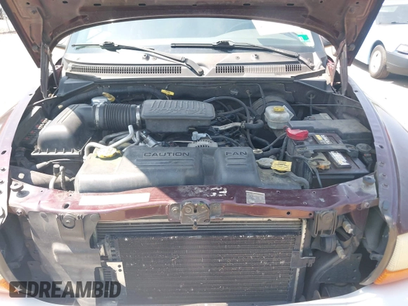 2004 Dodge Dakota SLT with VIN 1D7HG48N24S556431, listed as a IAAI auction lot 42591078 with 213,777 mi miles and . Bid and sale history available at DreamBid. Image 10.