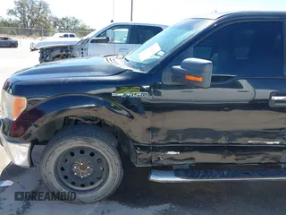 2009 Ford F-150 STX with VIN 1FTRX12899KB84755, listed as a IAAI auction lot 41849800 with 218,202 mi miles and . Bid and sale history available at DreamBid. Image 6.