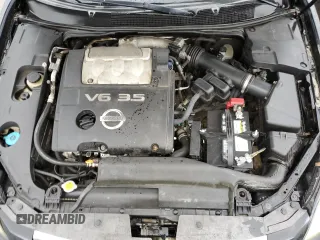 2008 Nissan Maxima 3.5 SE with VIN 1N4BA41E38C817387, listed as a Copart auction lot 73338754 with 176,181 mi miles and Clean Title. Bid and sale history available at carsss.com. Image 11.