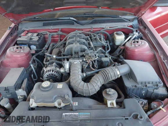 2008 Ford Mustang Deluxe with VIN 1ZVHT80N785179881, listed as a IAAI auction lot 42058845 with 154,385 mi miles. Bid and sale history available at carsss.com. Image 10.