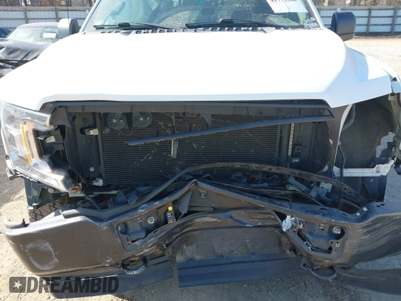 2019 Ford F-150 XL with VIN 1FTEW1EP8KKD98520, listed as a IAAI auction lot 41775566 with 128,021 mi miles. Bid and sale history available at carsss.com. Image 10.