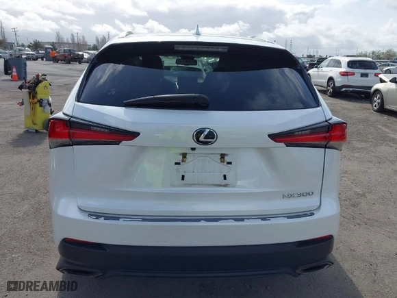 2018 Lexus NX with VIN JTJYARBZ9J2116378, listed as a IAAI auction lot 41841195 with 57,280 mi miles. Bid and sale history available at carsss.com. Image 16.