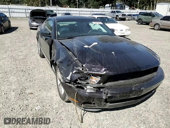 2012 Ford Mustang V6 Premium with VIN 1ZVBP8AM5C5224048, listed as a Copart auction lot 53483965 with 54,510 mi miles and Salvage Title. Bid and sale history available at carsss.com. Image 11.