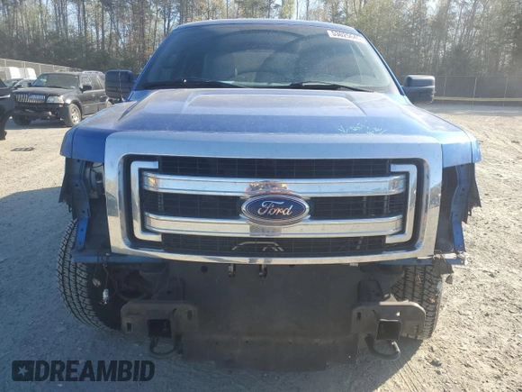 2013 Ford F-150 XL with VIN 1FTFW1EF3DFA87410, listed as a Copart auction lot 53025645 with 219,758 mi miles and Salvage Title. Bid and sale history available at DreamBid. Image 5.