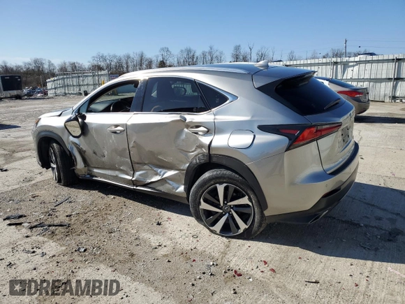 2018 Lexus NX 300 with VIN JTJBARBZ8J2164783, listed as a Copart auction lot 50224135 with 53,729 mi miles and Salvage title. Bid and sale history available at DreamBid. Image 2.