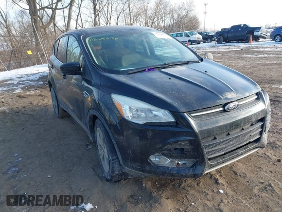2014 Ford Escape SE with VIN 1FMCU9GX2EUD52176, listed as a IAAI auction lot 41628674 with 101,049 mi miles. Bid and sale history available at carsss.com. Image 1.