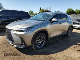 2024 Lexus NX with VIN 2T2ADCEZ4RC004990, listed as a Copart auction lot 65790834 with 7,141 mi miles and Non Repairable. Bid and sale history available at carsss.com. Image 1.