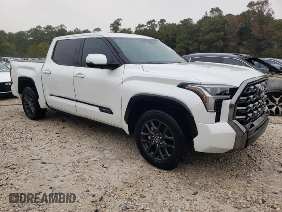 2022 Toyota Tundra 2WD Platinum with VIN 5TFNA5AB6NX003726, listed as a Copart auction lot 69110202 with 5,665 mi miles. Bid and sale history available at carsss.com. Image 4.