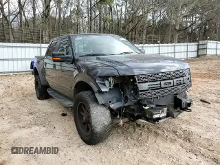2014 Ford F-150 SVT Raptor with VIN 1FTFW1R64EFA49681, listed as a Copart auction lot 45182225 with 171,138 mi miles and Salvage Title. Bid and sale history available at carsss.com. Image 11.