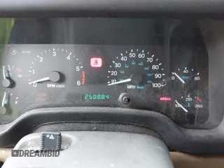 1999 Jeep Wrangler SE with VIN 1J4FY29P9XP467850, listed as a IAAI auction lot 42029322 with 250,884 mi miles. Bid and sale history available at carsss.com. Image 7.