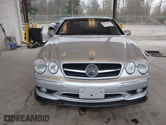 2002 Mercedes-Benz CL 500/600 z VIN WDBPJ75J22A025094, wystawiony jako IAAI lot #41887925 z przebiegiem 76 247 mil mil oraz . Historia ofert i sprzedaży dostępna na DreamBid. Obrazek 12.