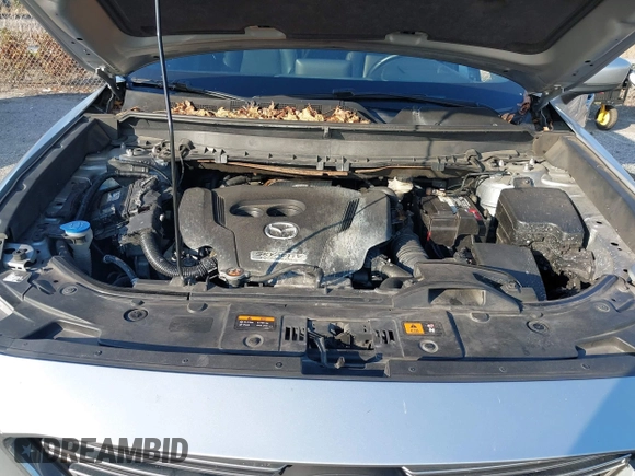2017 Mazda CX-9 Grand Touring with VIN JM3TCADY5H0138176, listed as a IAAI auction lot 41458610 with 114,664 mi miles and . Bid and sale history available at DreamBid. Image 10.