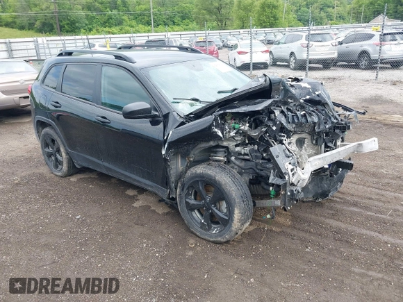 2017 Jeep Cherokee Altitude with VIN 1C4PJMAS7HW589950, listed as a IAAI auction lot 42359634 with 133,619 mi miles and . Bid and sale history available at DreamBid. Image 1.