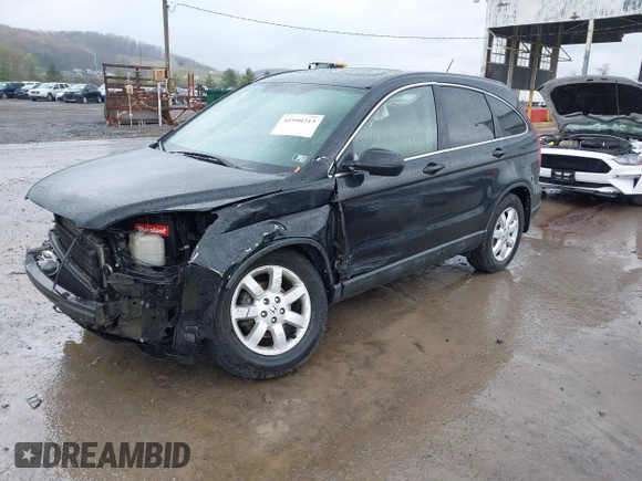 2009 Honda CR-V EX with VIN 5J6RE48509L045901, listed as a IAAI auction lot 41990313 with 223,305 mi miles and . Bid and sale history available at DreamBid. Image 2.