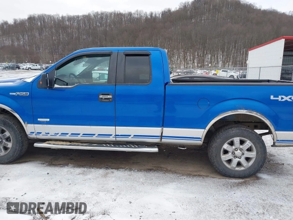 2013 Ford F-150 XL with VIN 1FTFX1ET9DFA00998, listed as a IAAI auction lot 41216058 with 168,995 mi miles and . Bid and sale history available at DreamBid. Image 14.