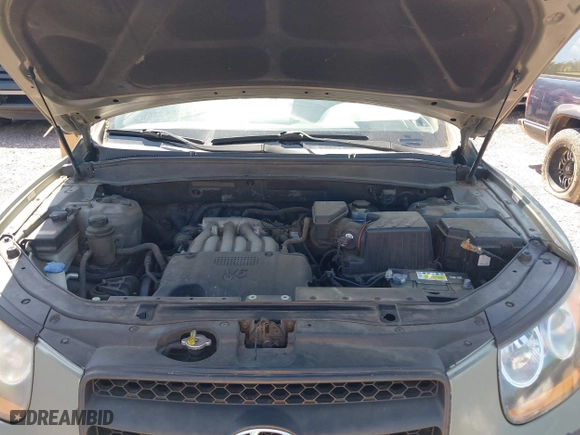 2009 Hyundai Santa Fe GLS with VIN 5NMSG13D19H331269, listed as a IAAI auction lot 42005021 with 120,215 mi miles. Bid and sale history available at carsss.com. Image 10.