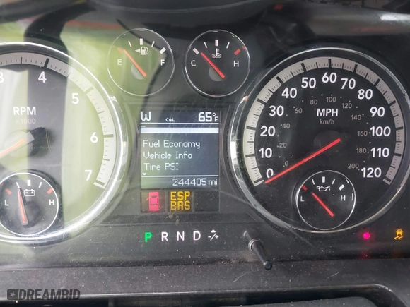 2010 Dodge Ram 1500 SLT with VIN 1D7RB1GT9AS169310, listed as a IAAI auction lot 41726449 with 244,405 mi miles. Bid and sale history available at carsss.com. Image 7.