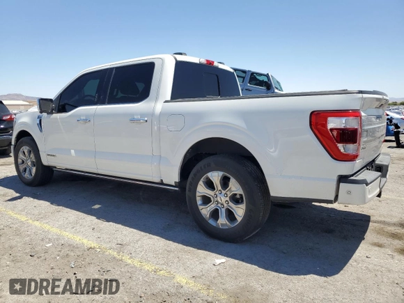 2021 Ford F-150 XL with VIN 1FTFW1CD7MFA89727, listed as a Copart auction lot 58373395 with 43,757 mi miles and Salvage title. Bid and sale history available at DreamBid. Image 2.