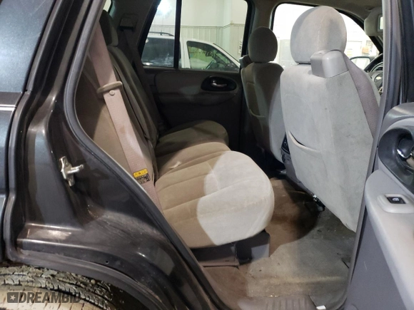 2005 Chevrolet TrailBlazer LS with VIN 1GNDT13S352160498, listed as a Copart auction lot 48407252 with NaN miles and Non Repairable. Bid and sale history available at carsss.com. Image 6.