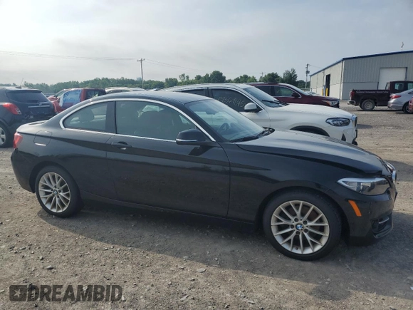 2016 BMW 2 Series 228i xDrive with VIN WBA1G9C52GV598419, listed as a Copart auction lot 62464515 with 49,793 mi miles and Salvage title. Bid and sale history available at DreamBid. Image 4.