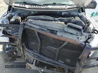 2019 Ford F-150 with VIN 1FTEW1P44KKD50970, listed as a Copart auction lot 56162645 with 153,050 mi miles and Salvage title. Bid and sale history available at DreamBid. Image 11.