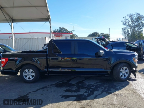 2023 Ford F-150 XL with VIN 1FTEW1C58PKF97964, listed as a IAAI auction lot 41372700 with 36,240 mi miles and . Bid and sale history available at DreamBid. Image 13.