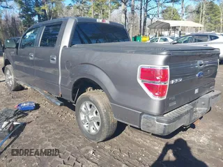 2013 Ford F-150 XL with VIN 1FTEW1CM4DKG06680, listed as a IAAI auction lot 41639948 with 133,539 mi miles. Bid and sale history available at carsss.com. Image 3.
