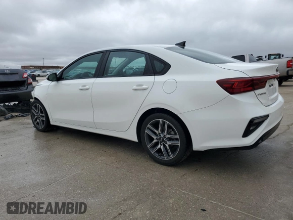 2019 Kia Forte S with VIN 3KPF34AD3KE064375, listed as a Copart auction lot 44607445 with 52,124 mi miles and Clean Title. Bid and sale history available at carsss.com. Image 2.