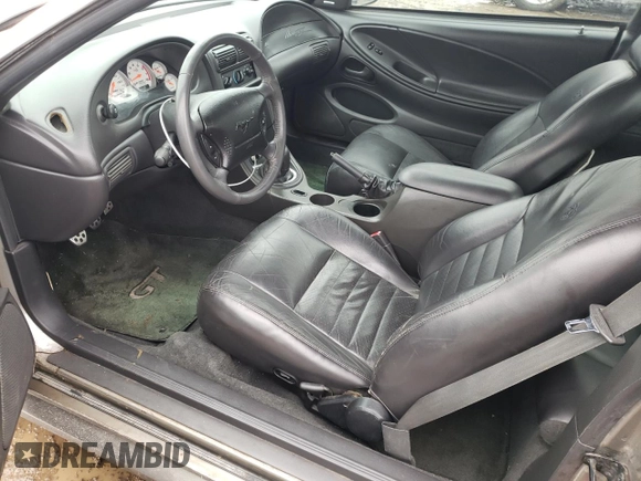 2002 Ford Mustang GT Deluxe with VIN 1FAFP42X02F203595, listed as a Copart auction lot 40194624 with 0 mi miles and Salvage Title. Bid and sale history available at carsss.com. Image 7.