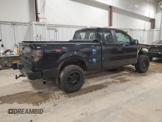 2013 Ford F-150 XL with VIN 1FTFX1EFXDFD26755, listed as a Copart auction lot 49045485 with 122,854 mi miles and Clean Title. Bid and sale history available at DreamBid. Image 3.