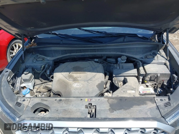 2021 Hyundai Palisade SEL z VIN KM8R4DHE2MU184984, wystawiony jako IAAI lot #42221108 z przebiegiem 107 960 mil mil oraz . Historia ofert i sprzedaży dostępna na DreamBid. Obrazek 10.