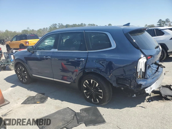 2024 Kia Telluride SX X-Line with VIN 5XYP5DGC0RG485674, listed as a Copart auction lot 48816625 with 24,056 mi miles and Salvage Title. Bid and sale history available at carsss.com. Image 2.