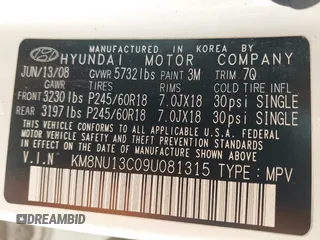2009 Hyundai Veracruz GLS with VIN KM8NU13C09U081315, listed as a IAAI auction lot 42460456 with 160,000 mi miles and . Bid and sale history available at DreamBid. Image 9.